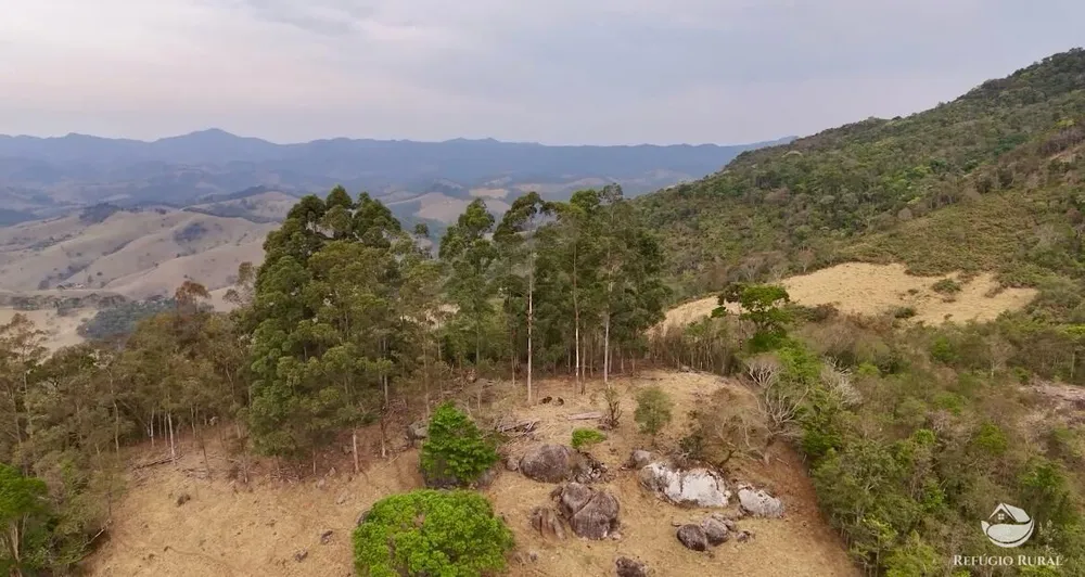 Terreno, 73 hectares - Foto 4