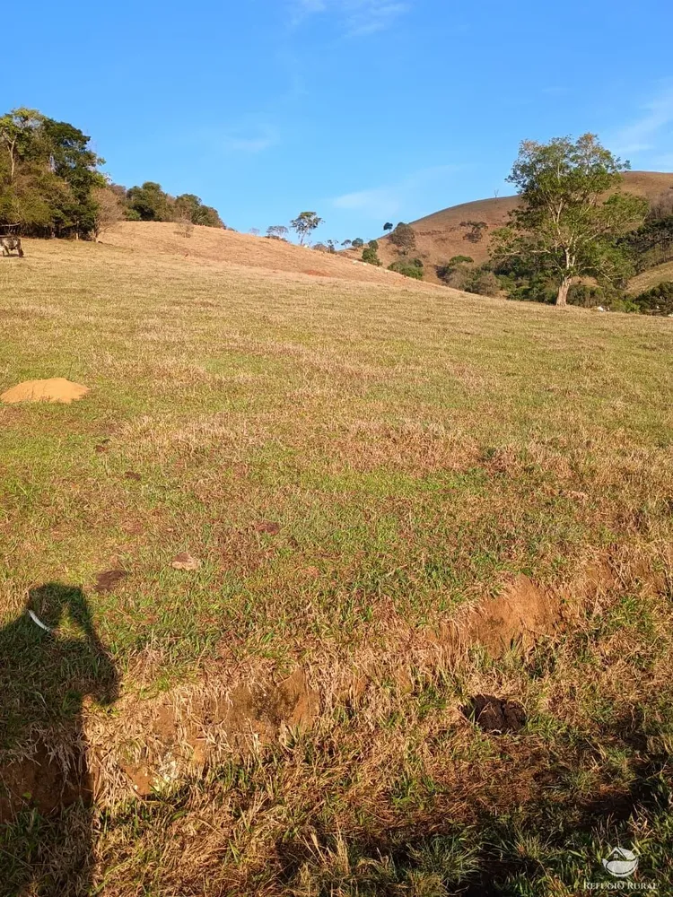 Sítio, 12 hectares - Foto 1