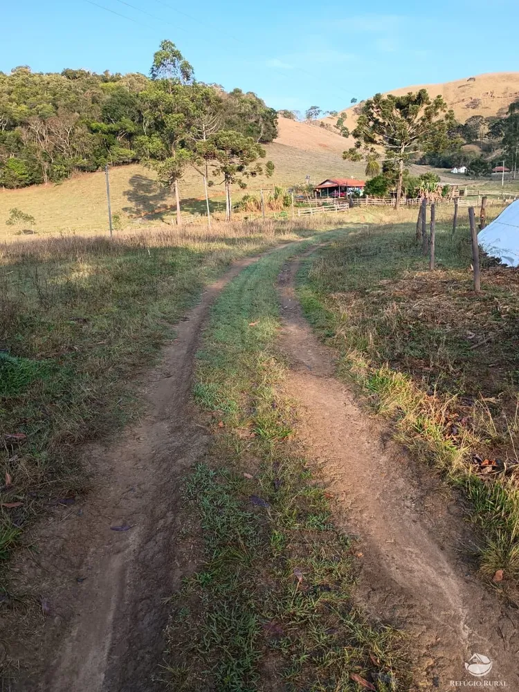 Sítio, 12 hectares - Foto 4