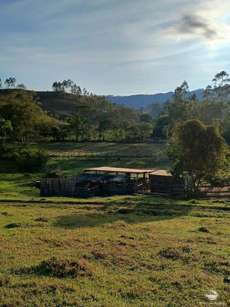 Sítio, 12 hectares - Foto 3