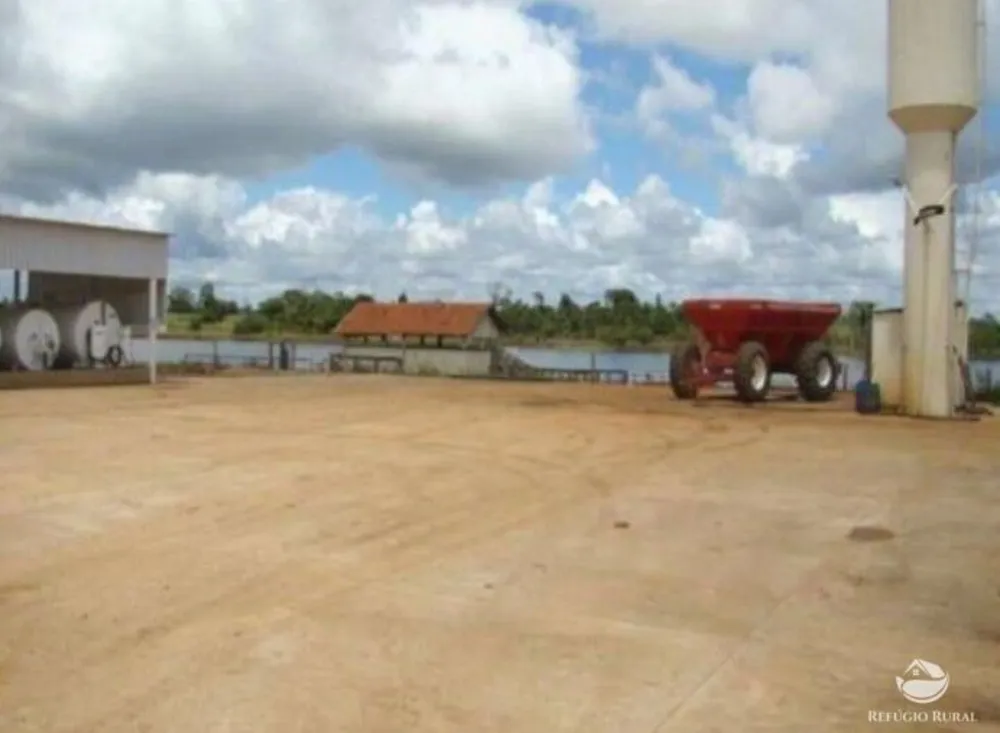 Fazenda, 11829 hectares - Foto 7
