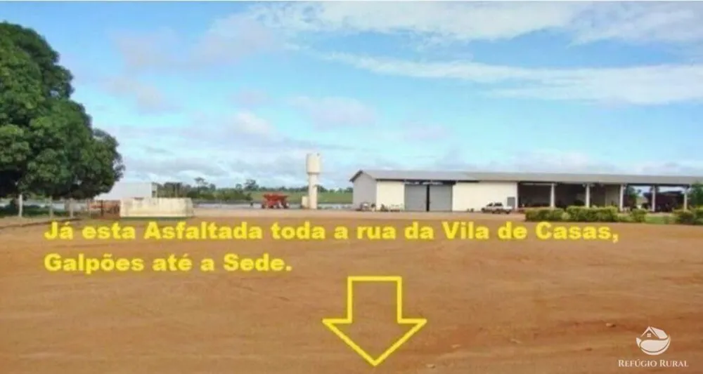Fazenda, 11829 hectares - Foto 9