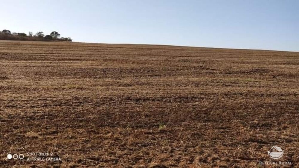 Fazenda à venda com 1 quarto, 19602000m² - Foto 3