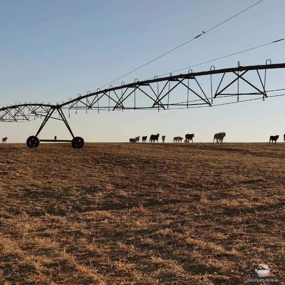Fazenda à venda com 1 quarto, 19602000m² - Foto 1