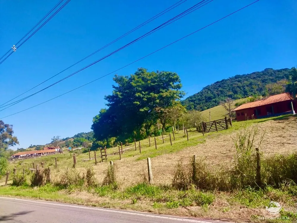 Fazenda, 111 hectares - Foto 6