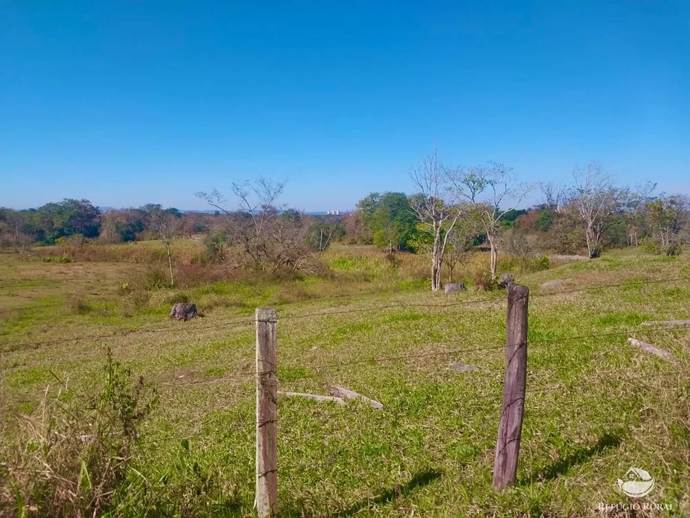 Fazenda, 111 hectares - Foto 12