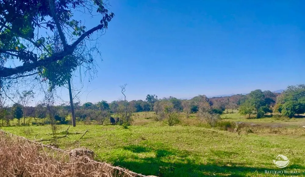 Fazenda, 111 hectares - Foto 5