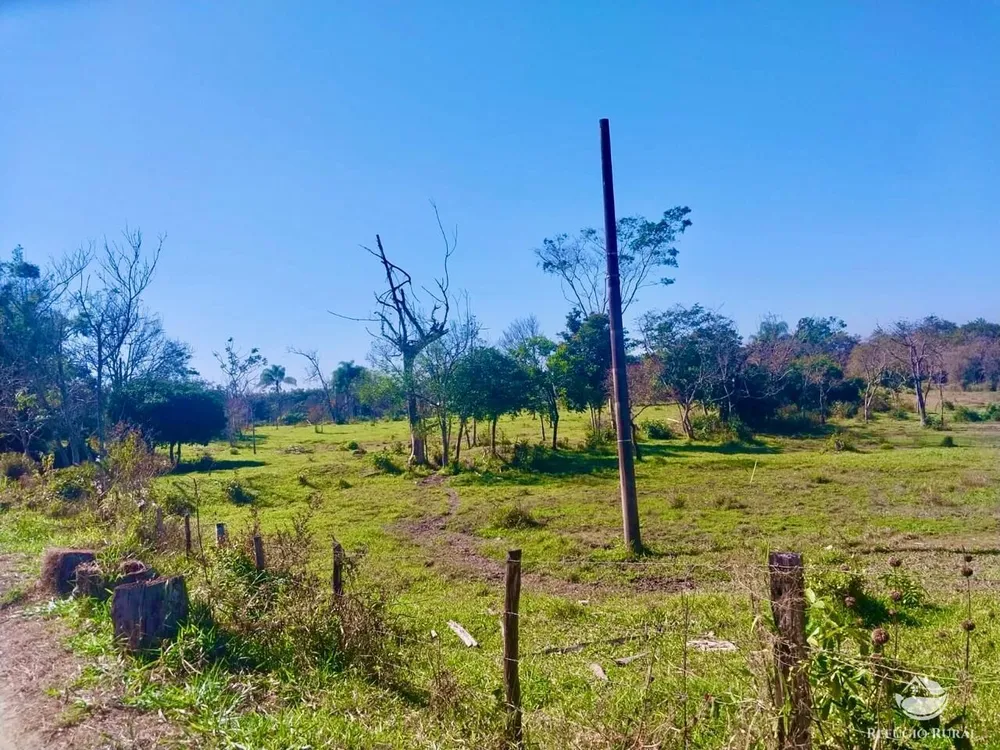 Fazenda, 111 hectares - Foto 9
