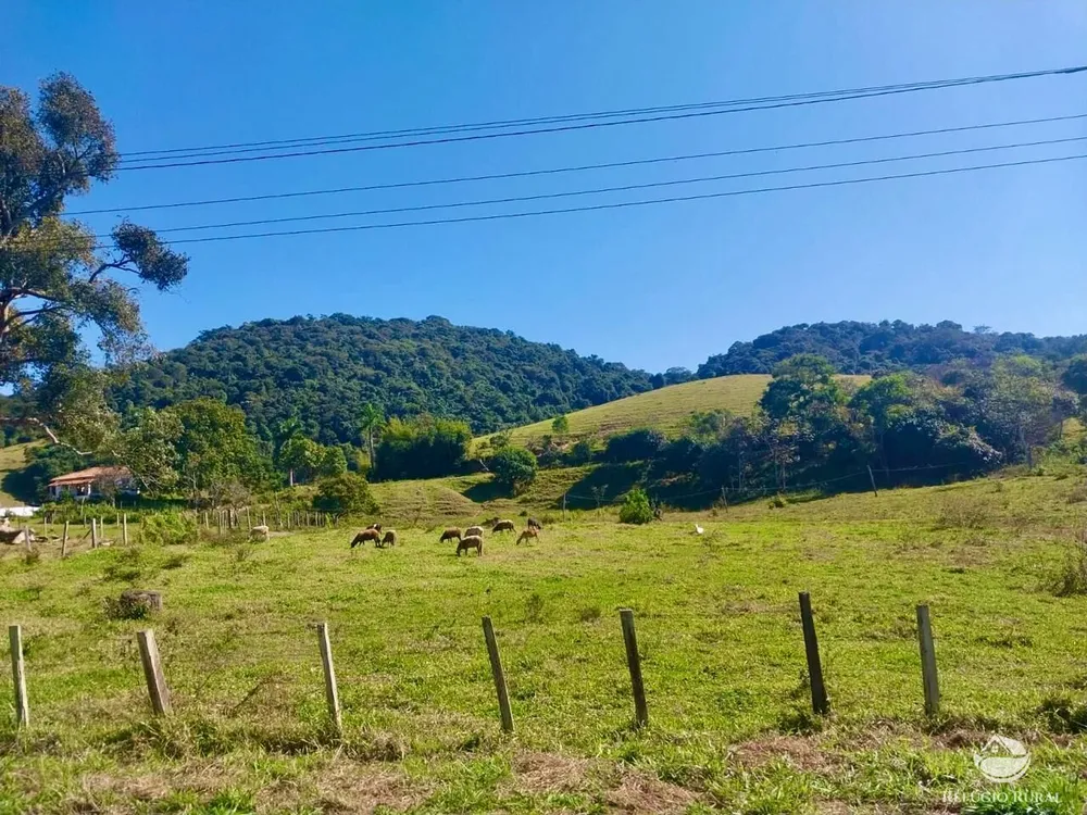 Fazenda, 111 hectares - Foto 1