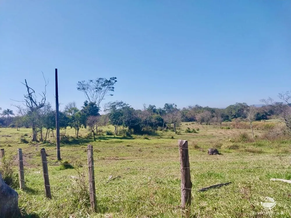 Fazenda, 111 hectares - Foto 3