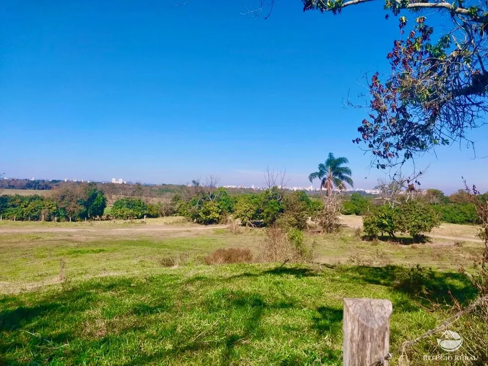 Fazenda, 111 hectares - Foto 4