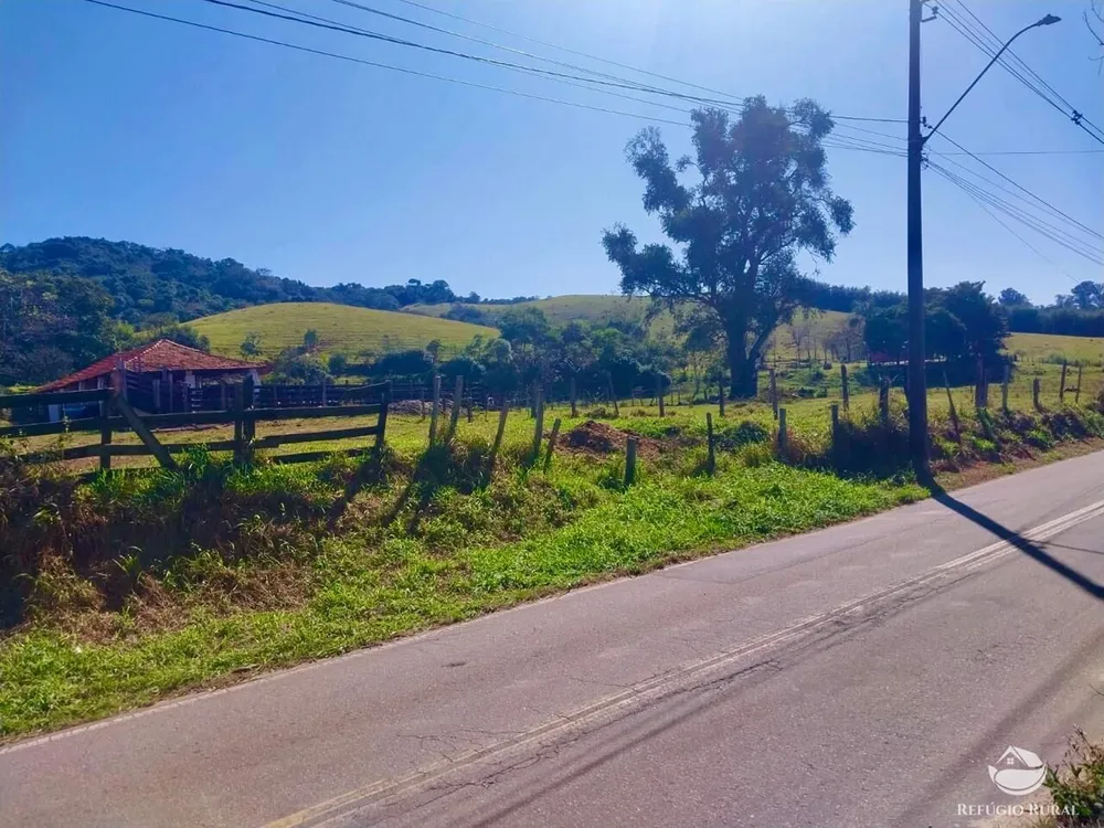 Fazenda, 111 hectares - Foto 6
