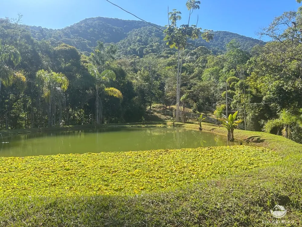Fazenda, 111 hectares - Foto 4