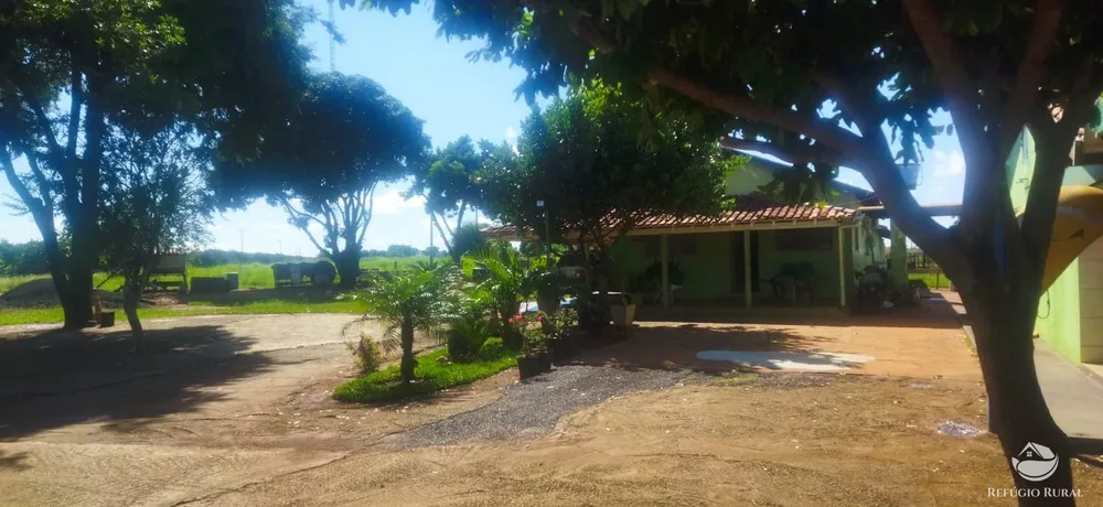 Sítio, 3 hectares - Foto 1