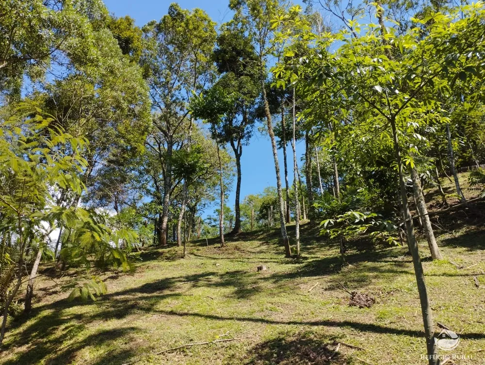 Sítio, 2 hectares - Foto 4