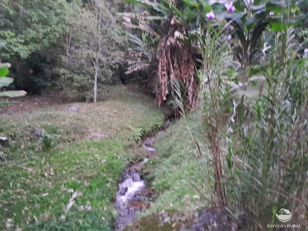 Chácara, 3000 m² - Foto 8