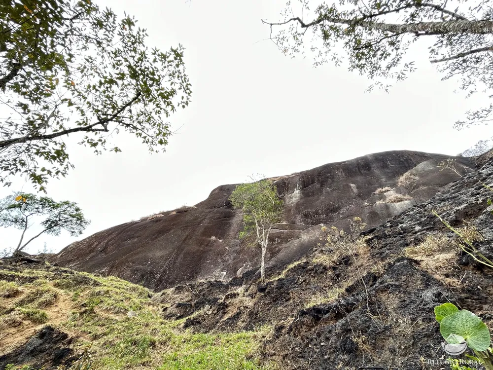 Terreno, 2 hectares - Foto 14