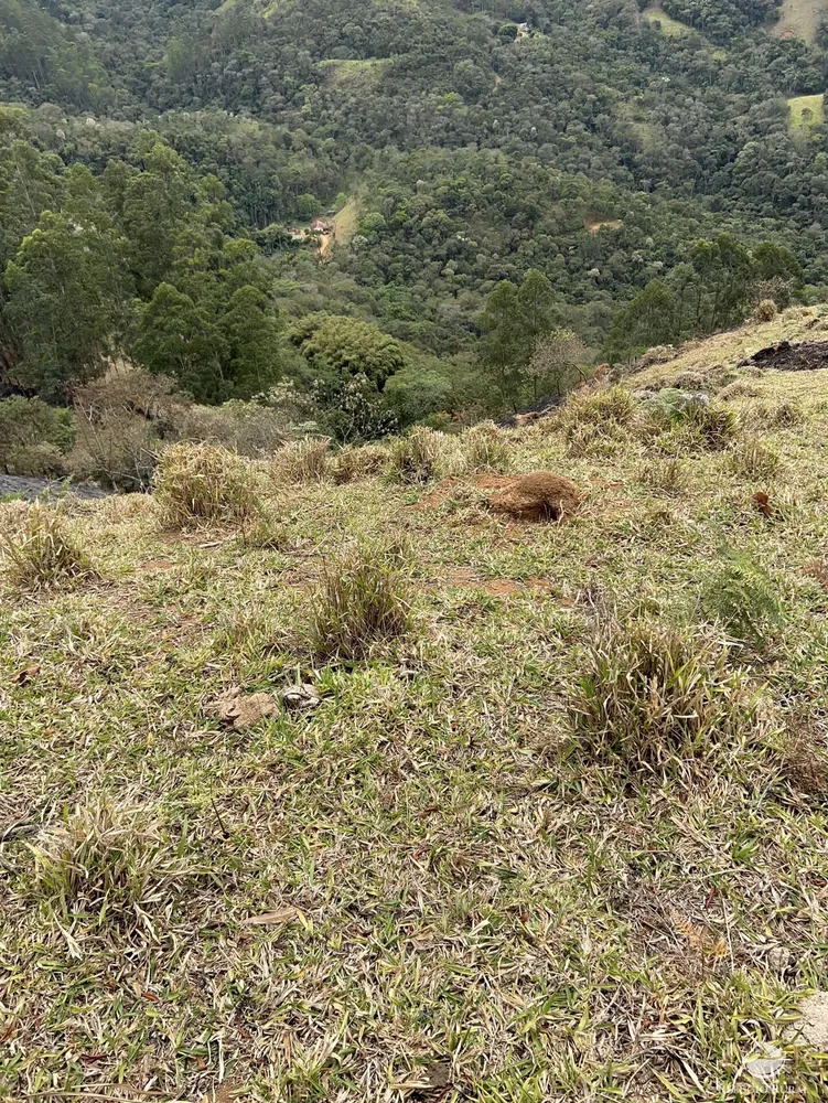 Terreno, 2 hectares - Foto 6