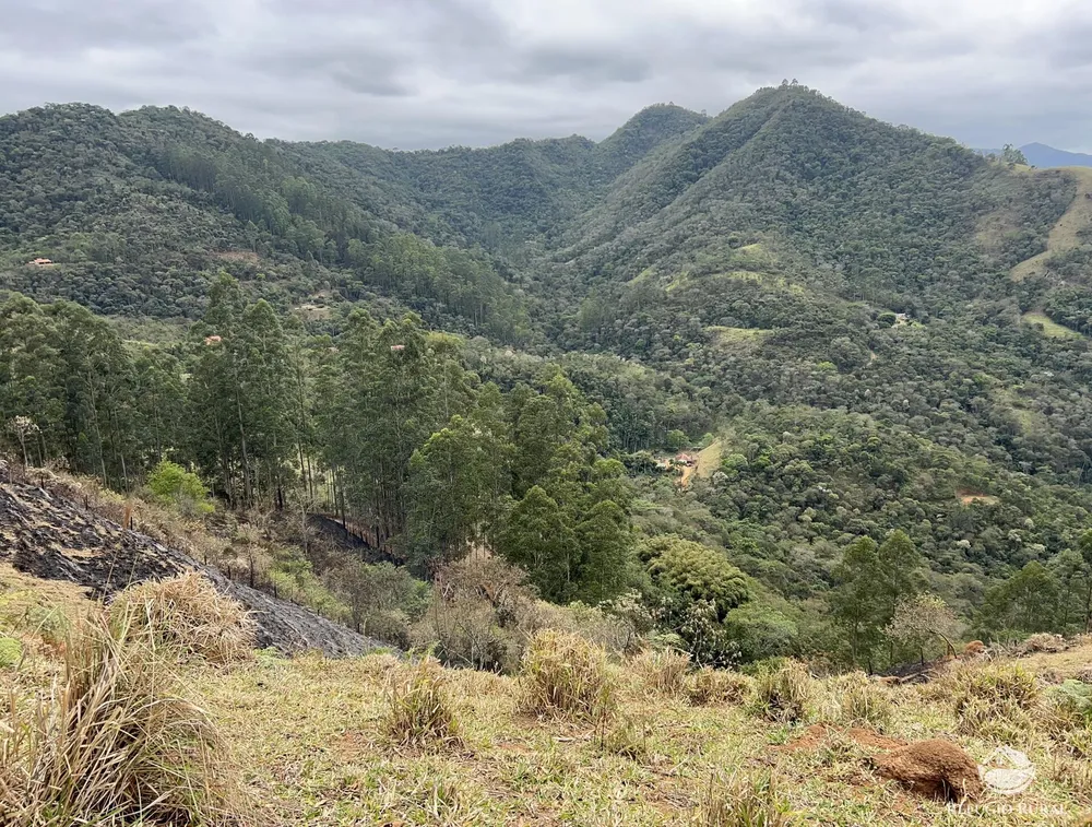 Terreno, 2 hectares - Foto 8