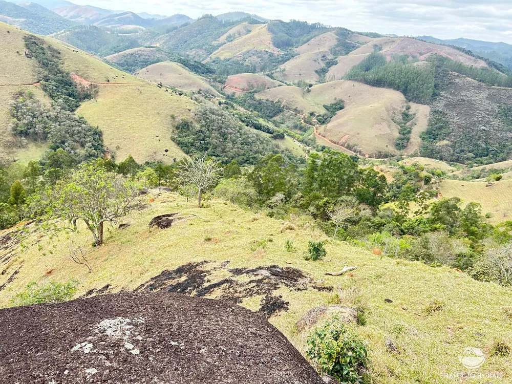 Terreno, 2 hectares - Foto 1