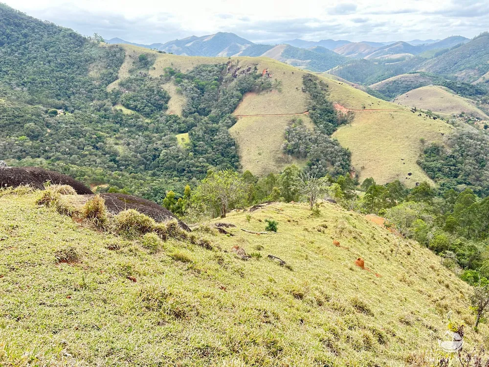 Terreno, 2 hectares - Foto 7