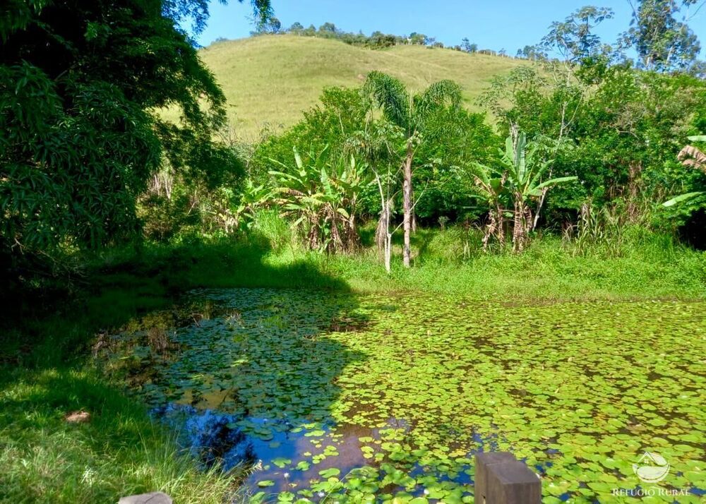 Chácara, 2 quartos, 4 hectares - Foto 11