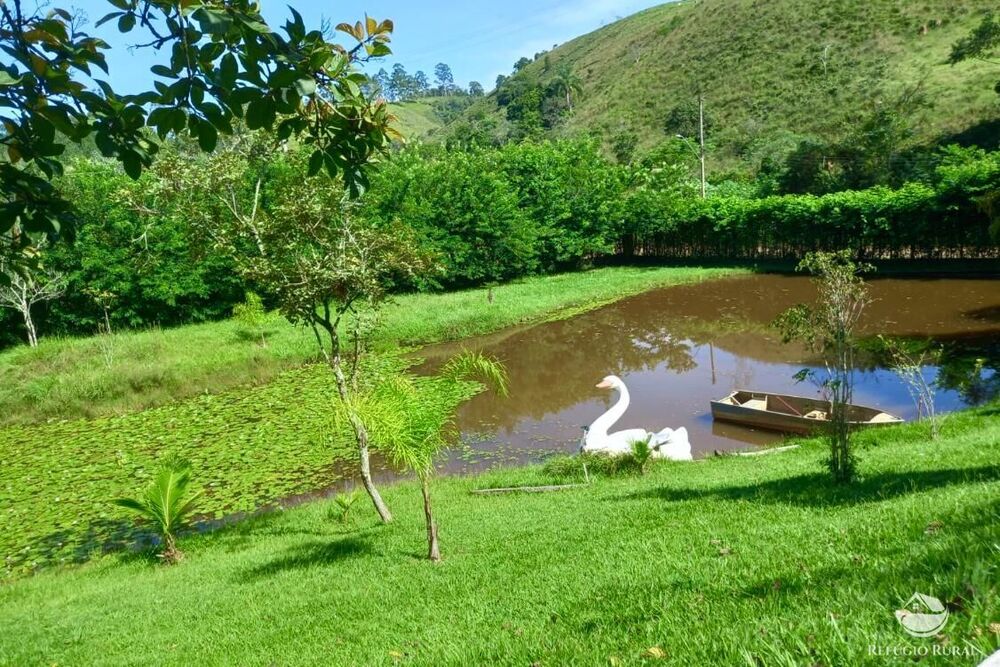 Chácara, 2 quartos, 4 hectares - Foto 6