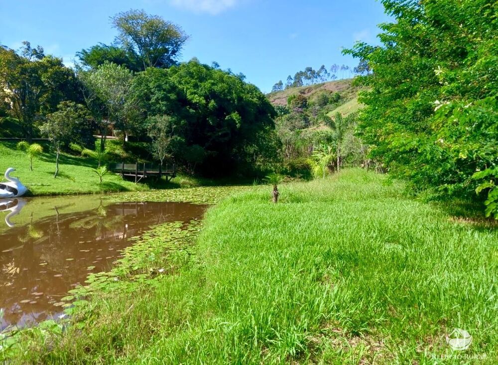 Chácara, 2 quartos, 4 hectares - Foto 8