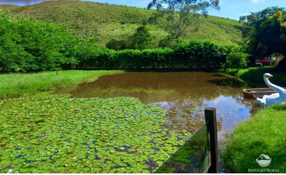 Chácara, 2 quartos, 4 hectares - Foto 13