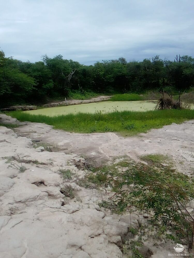 Terreno à venda com 1 quarto, 23500000m² - Foto 2