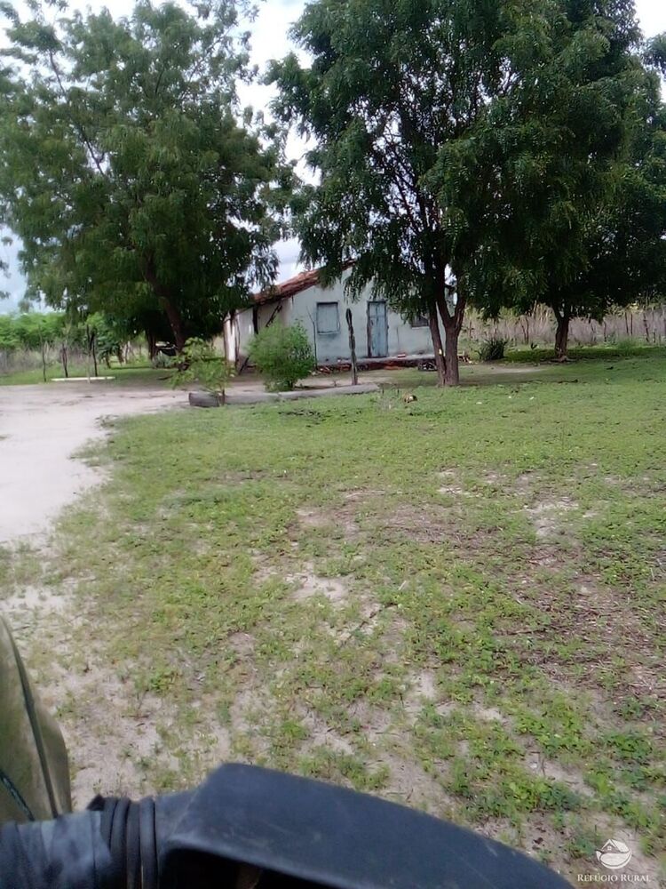 Terreno à venda com 1 quarto, 23500000m² - Foto 1