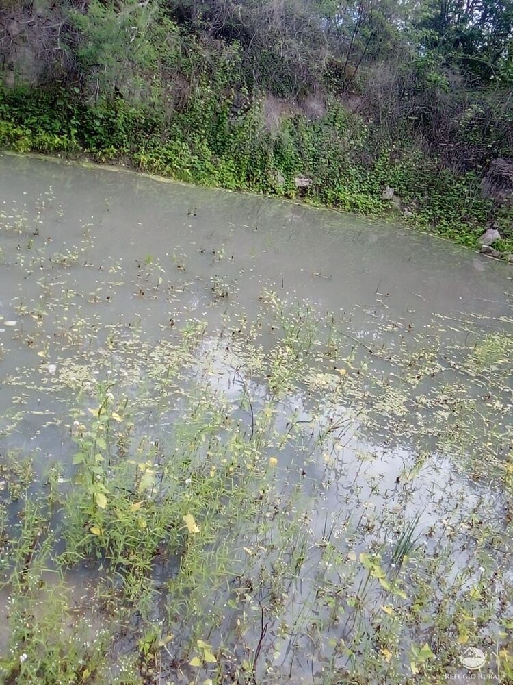 Terreno à venda com 1 quarto, 23500000m² - Foto 10