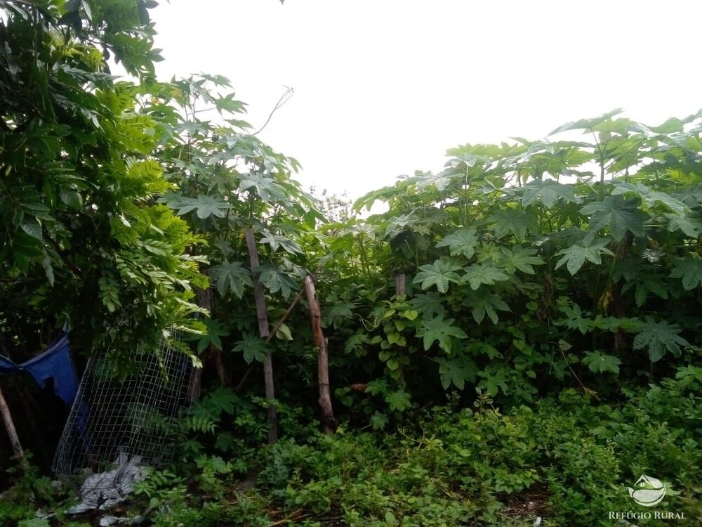 Terreno à venda com 1 quarto, 23500000m² - Foto 8