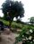 Terreno, 2350 hectares - Foto 3