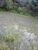 Terreno, 2350 hectares - Foto 10
