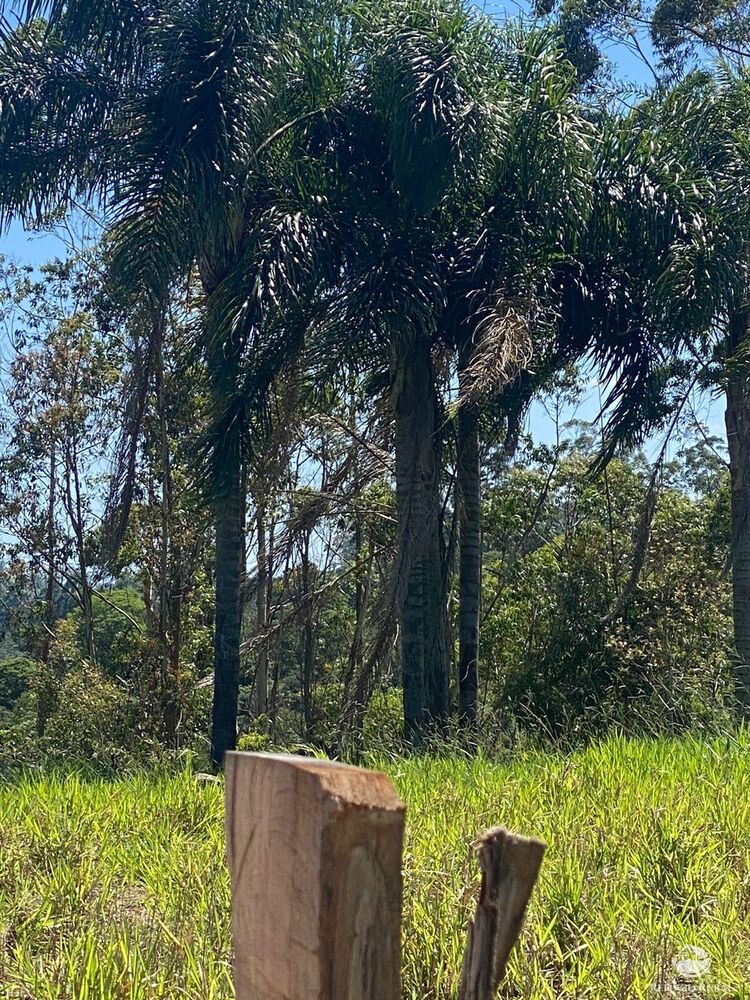 Sítio, 7 m² - Foto 6