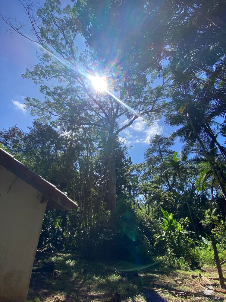 Sítio, 7 m² - Foto 5