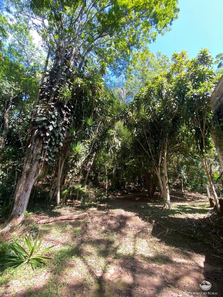 Sítio, 7 m² - Foto 3