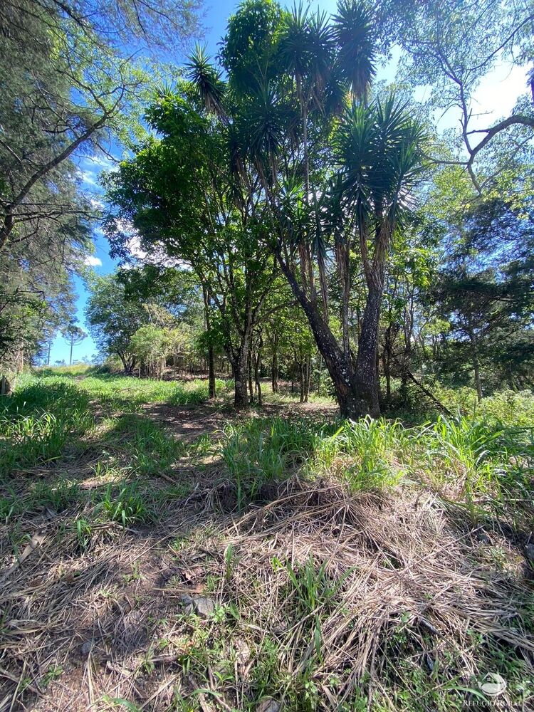 Sítio, 7 m² - Foto 1