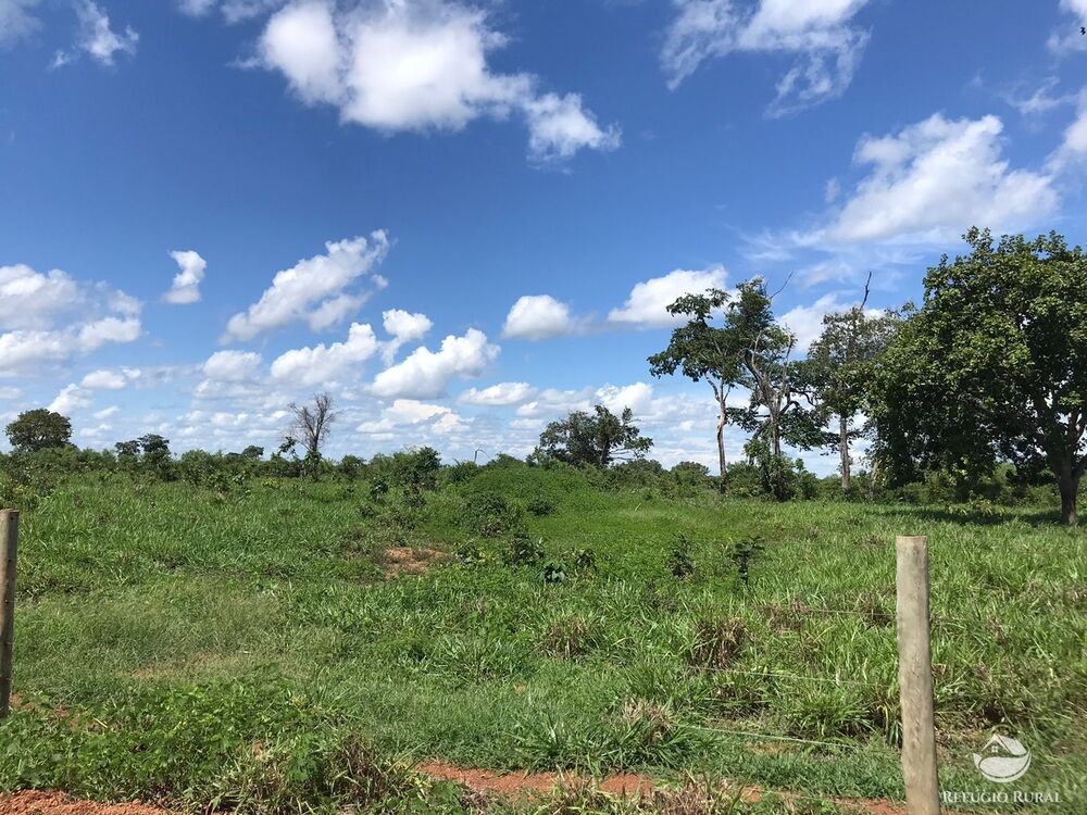 Fazenda à venda com 2 quartos, 12584000m² - Foto 5