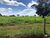 Fazenda-Sítio-Chácara, 1258 hectares - Foto 3