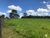 Fazenda-Sítio-Chácara, 1258 hectares - Foto 6