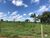 Fazenda-Sítio-Chácara, 1258 hectares - Foto 5
