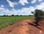 Fazenda-Sítio-Chácara, 1258 hectares - Foto 9