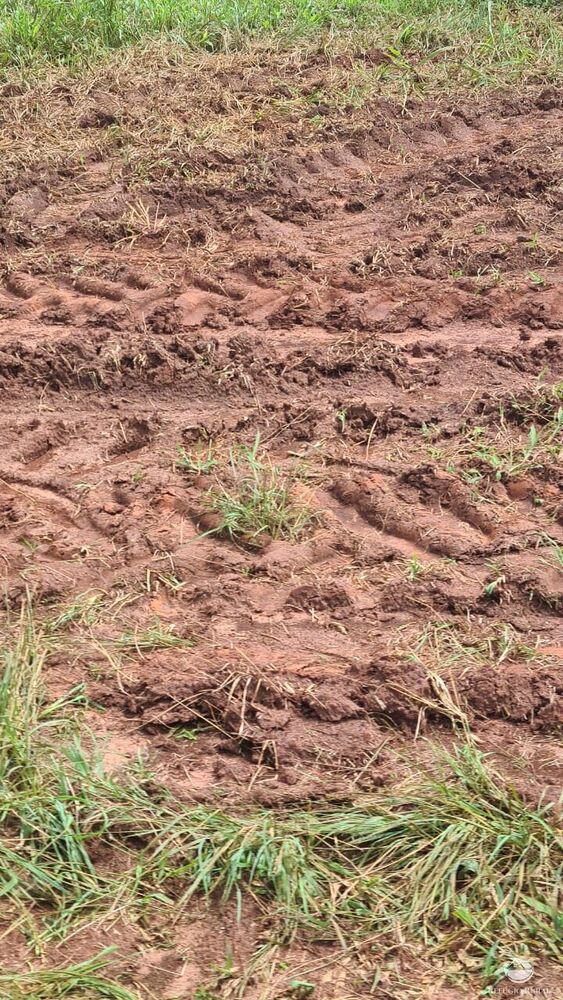 Fazenda, 450 hectares - Foto 17