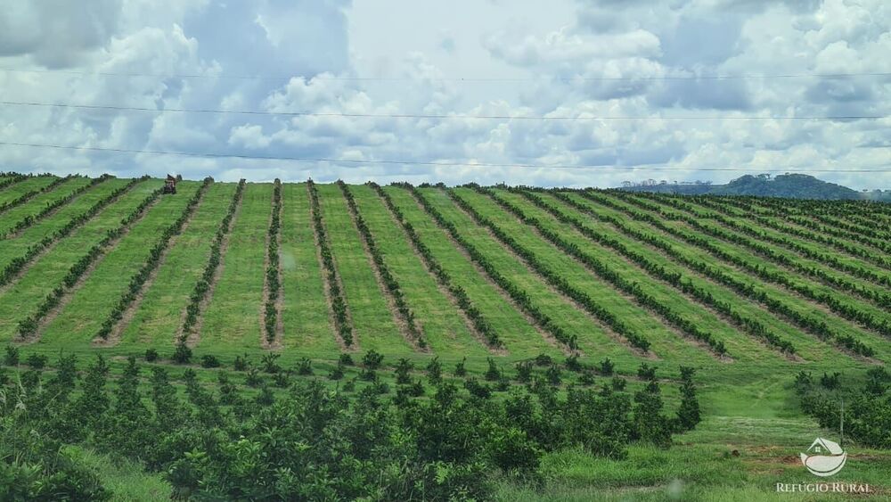 Fazenda, 450 hectares - Foto 3