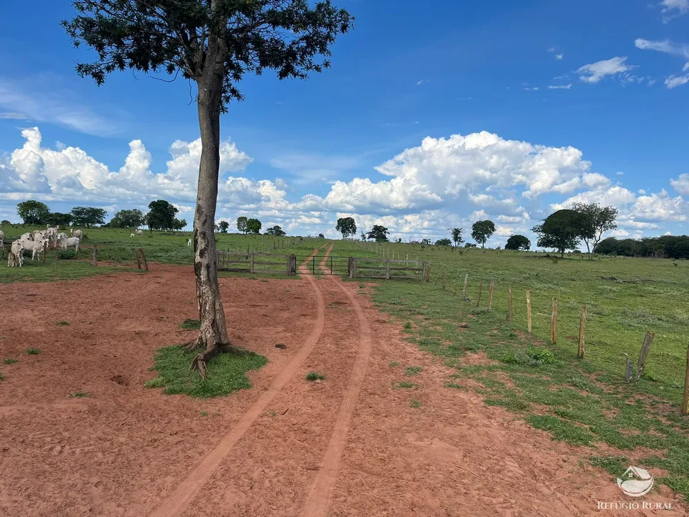 Fazenda, 3004 hectares - Foto 13