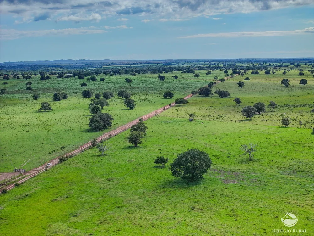 Fazenda, 3004 hectares - Foto 1