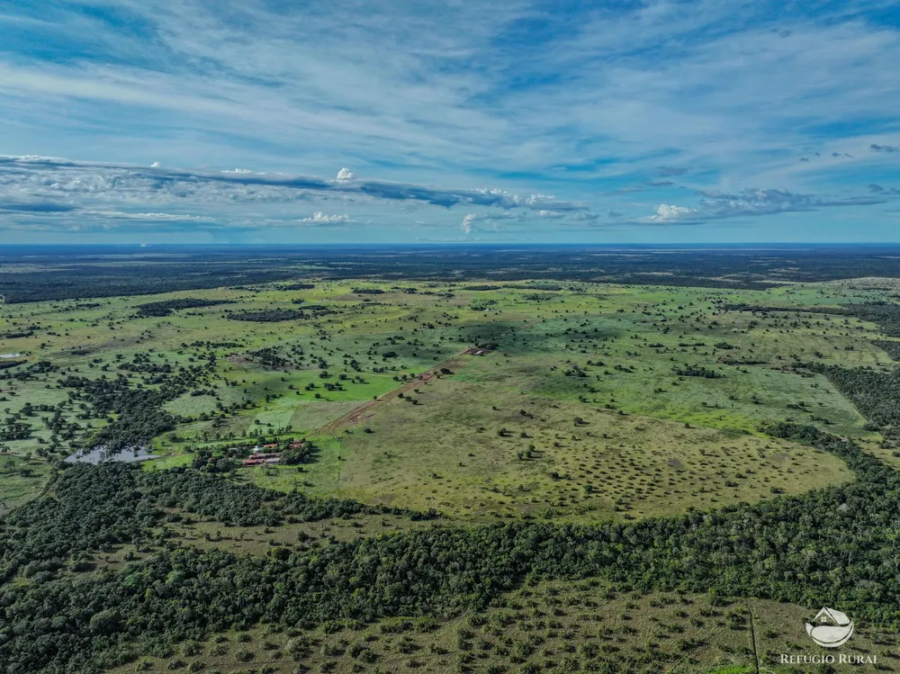 Fazenda, 3004 hectares - Foto 6
