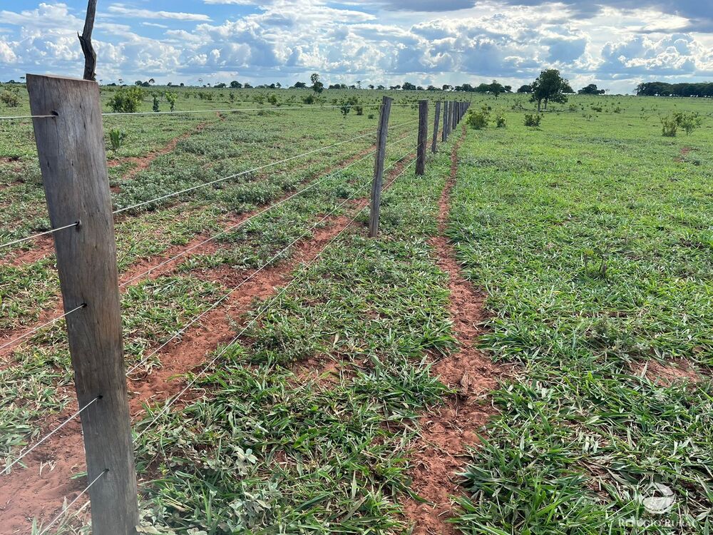 Fazenda, 3004 hectares - Foto 4
